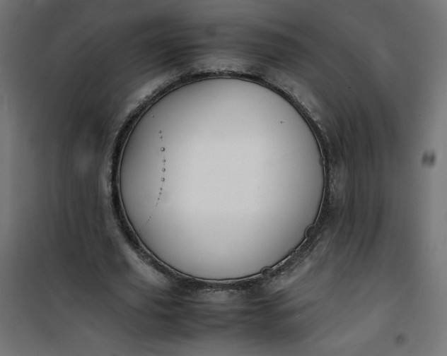 X0000100850629200807070934