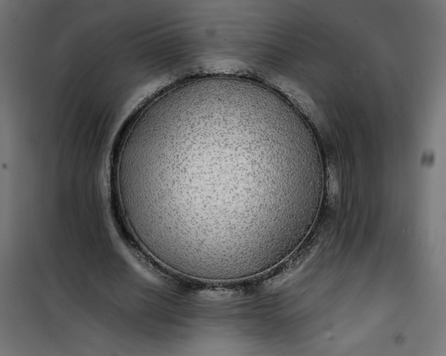 X0000100850630200807070934