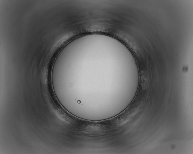 X0000100850631200807070934