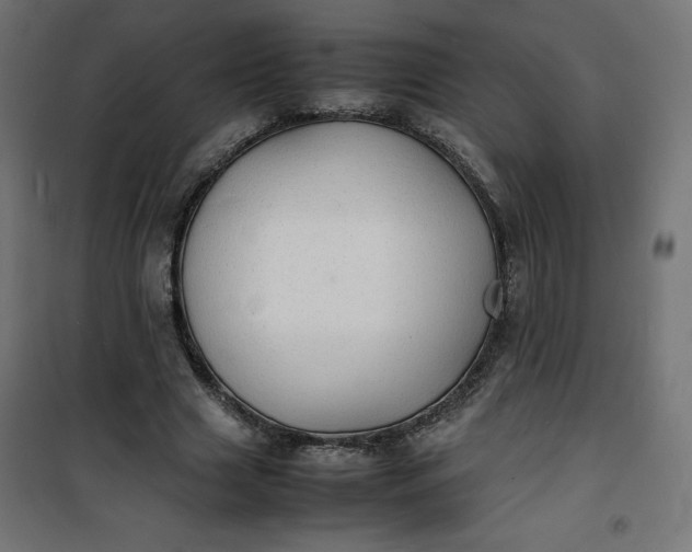 X0000100850633200807070934