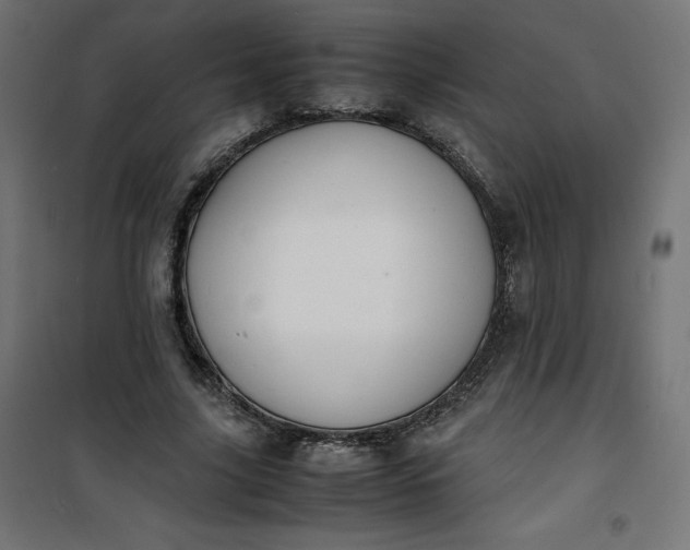 X0000100850635200807070934