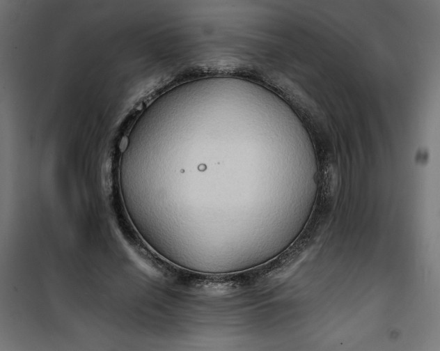 X0000100850638200807070934