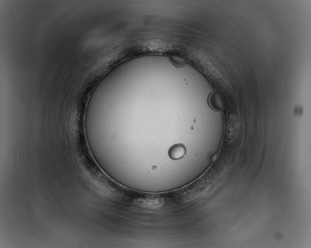 X0000100850639200807070934