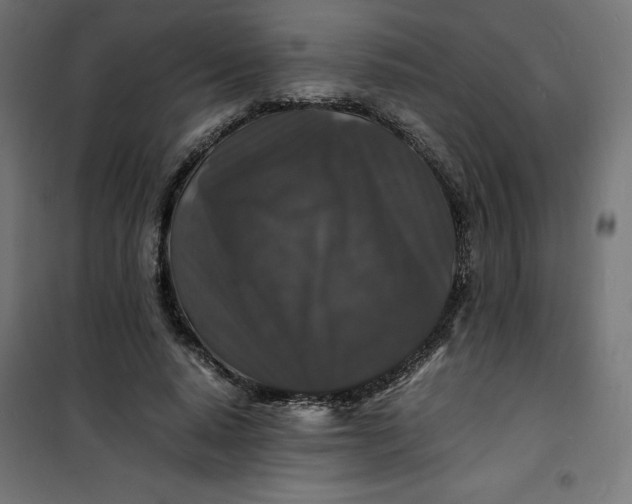 X0000100850640200807070934