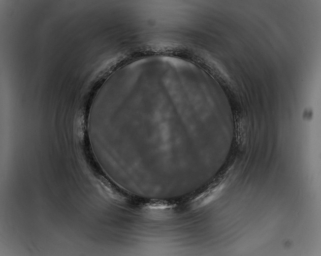 X0000100850644200807070934