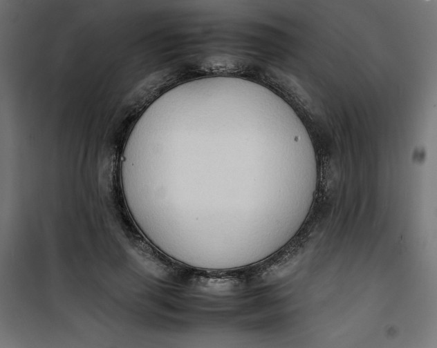 X0000100850645200807070934