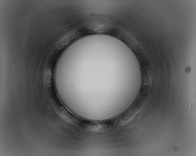 X0000100850646200807070934