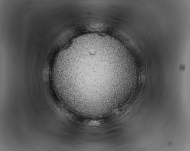 X0000100850647200807070934