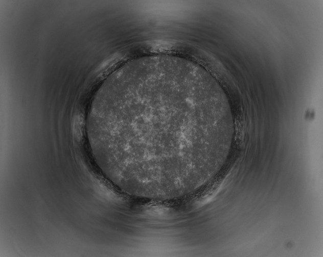 X0000100850648200807070934