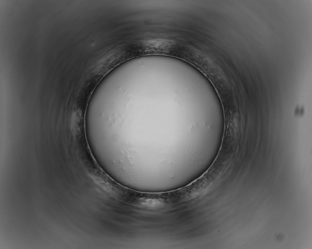 X0000100850649200807070934