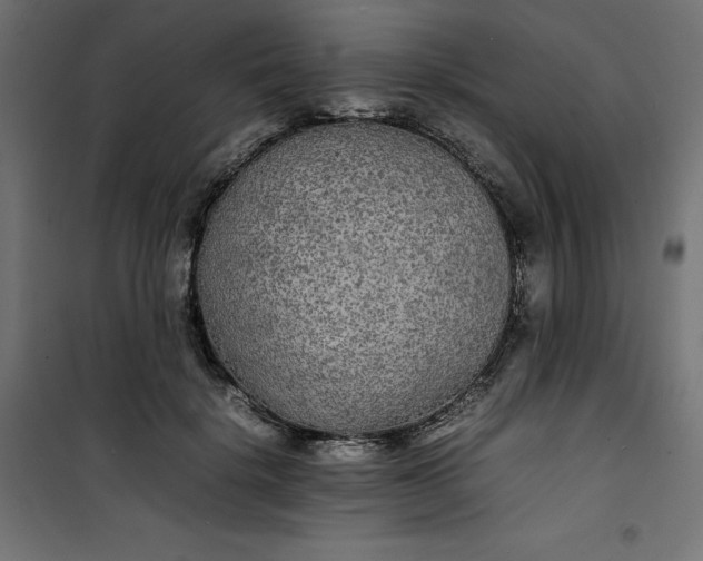 X0000100850652200807070934