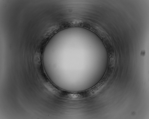 X0000100850654200807070934