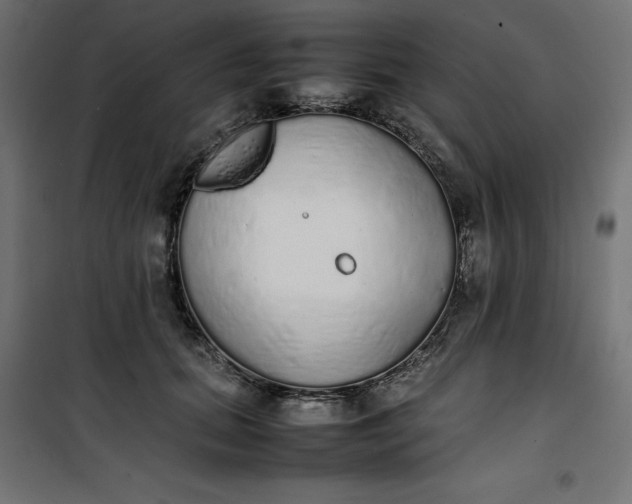 X0000100850655200807070934