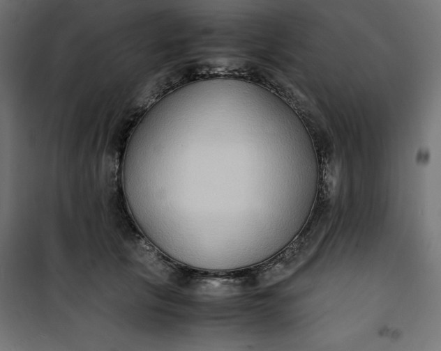 X0000100850657200807070934