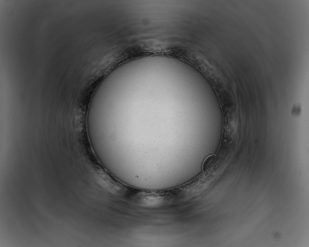 X0000100850658200807070934