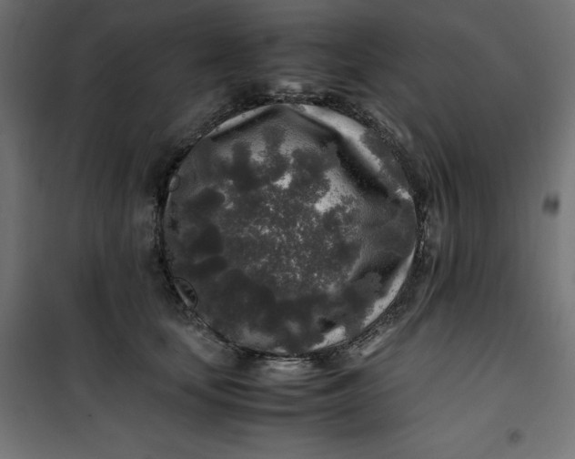 X0000100850659200807070934