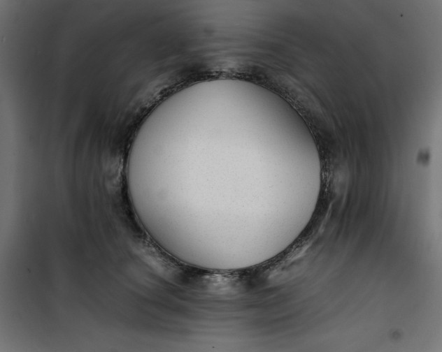 X0000100850660200807070934