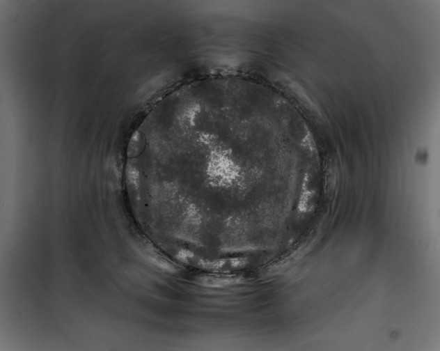 X0000100850661200807070934