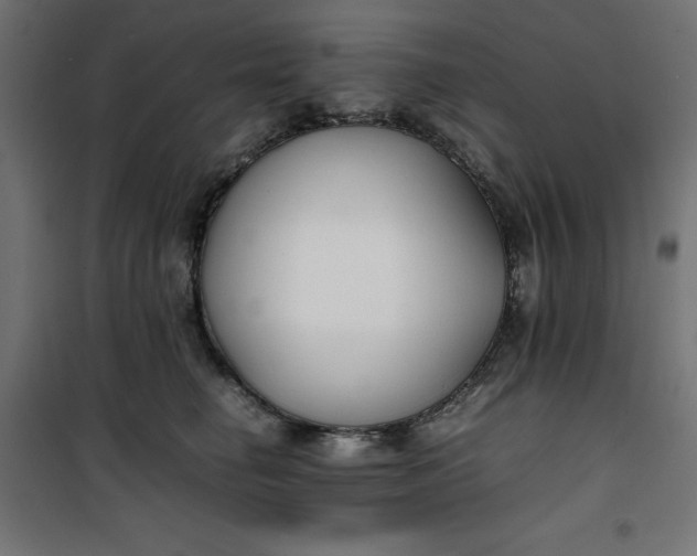 X0000100850662200807070934