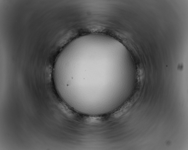 X0000100850664200807070934