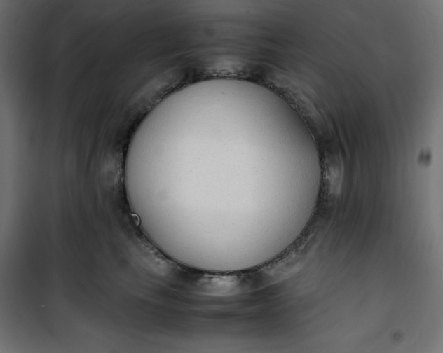 X0000100850665200807070934