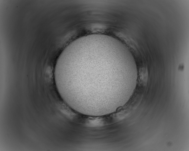 X0000100850667200807070934