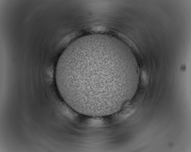 X0000100850668200807070934