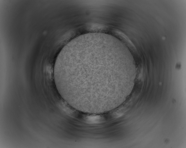 X0000100850669200807070934