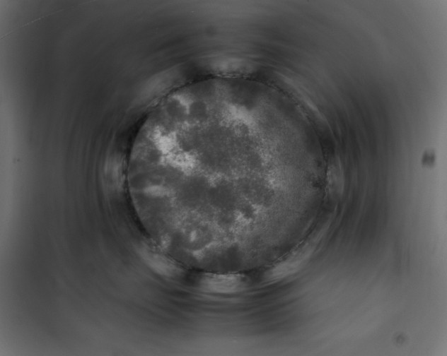 X0000100850671200807070934