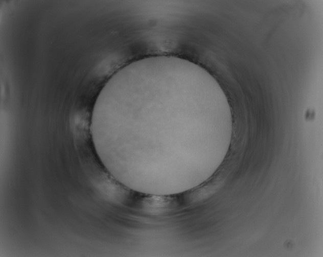 X0000100850672200807070934