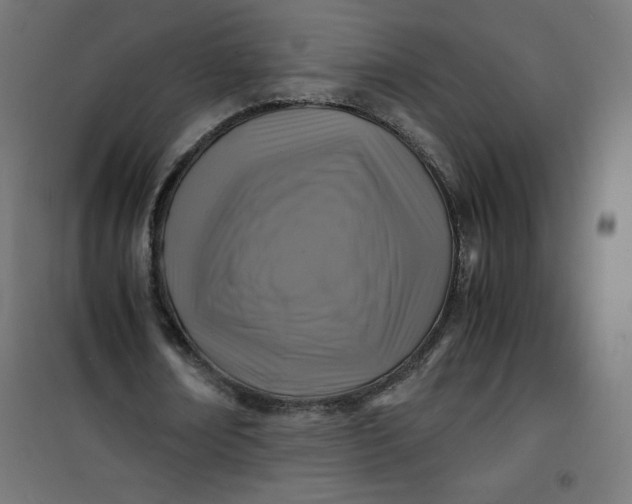 X0000100850674200807070934