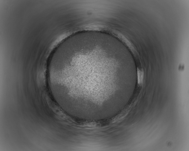 X0000100850675200807070934