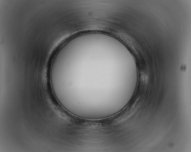 X0000100850676200807070934