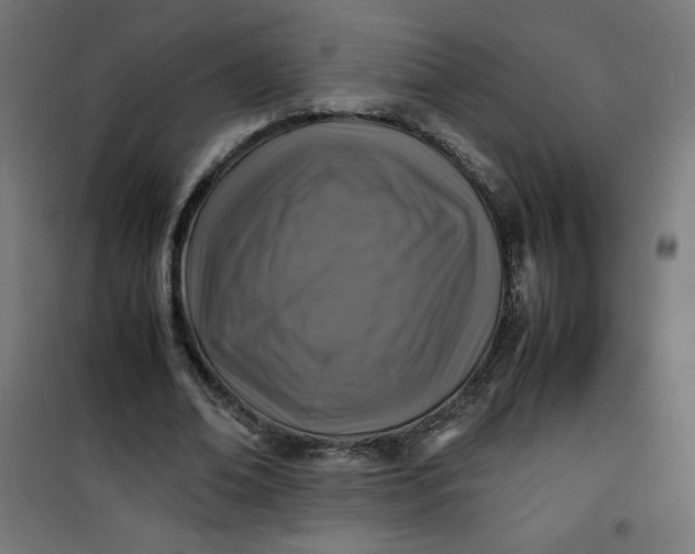 X0000100850678200807070933