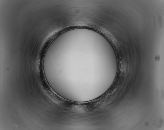 X0000100850680200807070933