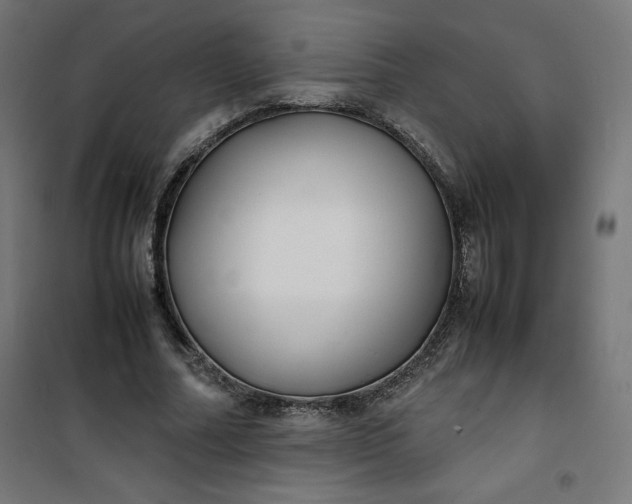 X0000100850682200807070933