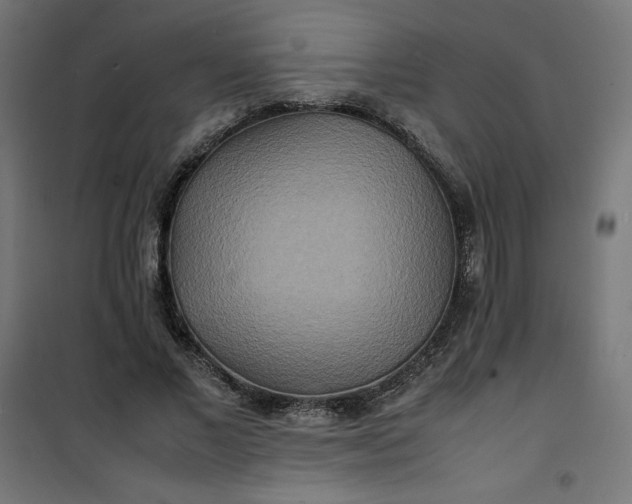 X0000100850685200807070933