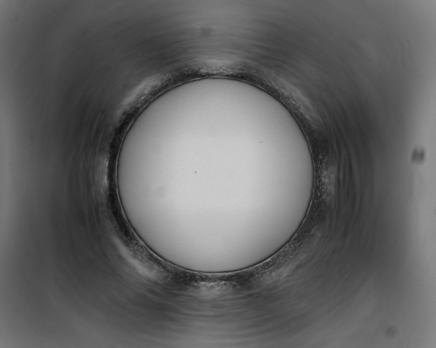 X0000100850686200807070933