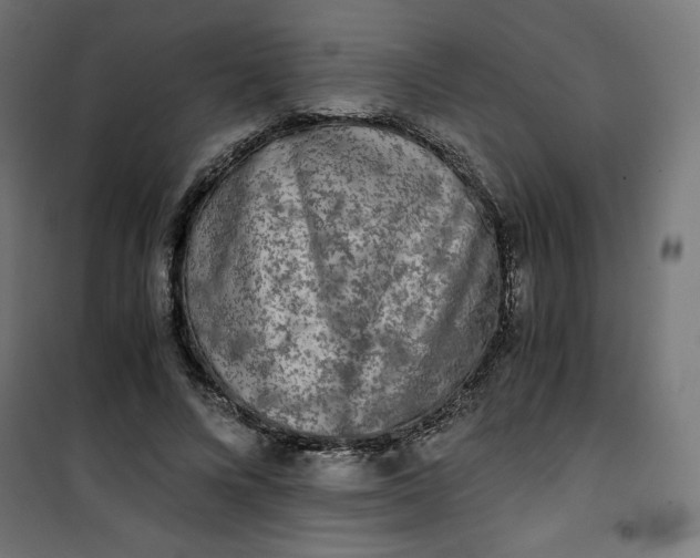 X0000100850688200807070933