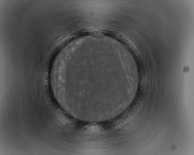 X0000100850689200807070933