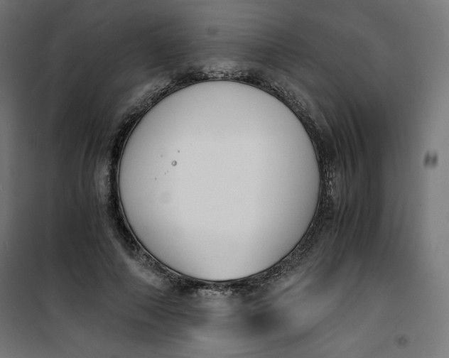 X0000100850690200807070933