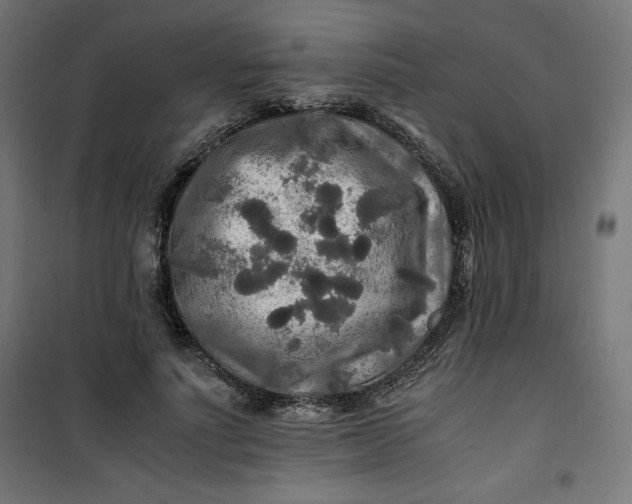 X0000100850691200807070933