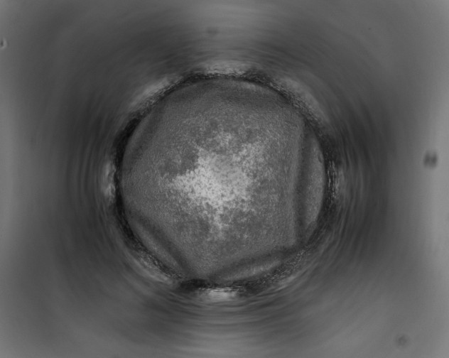 X0000100850692200807070933