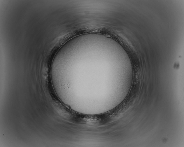 X0000100850693200807070933