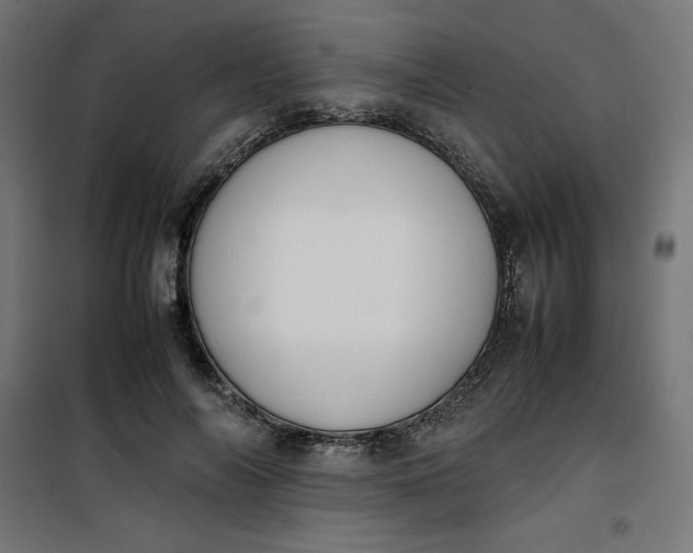 X0000100850694200807070933