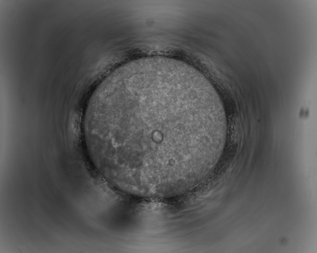 X0000100850695200807070933