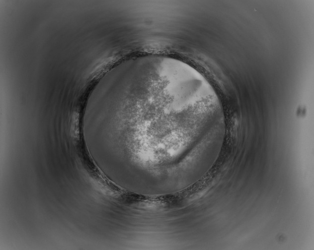 X0000100850696200807070933