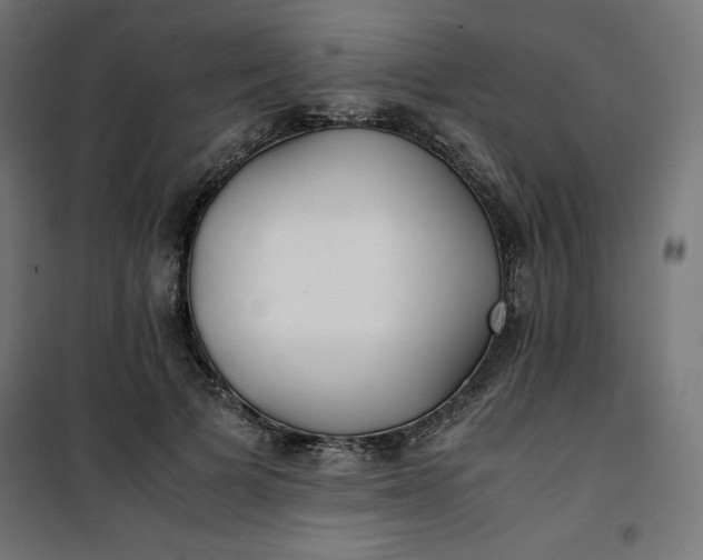 X0000100850697200807070933