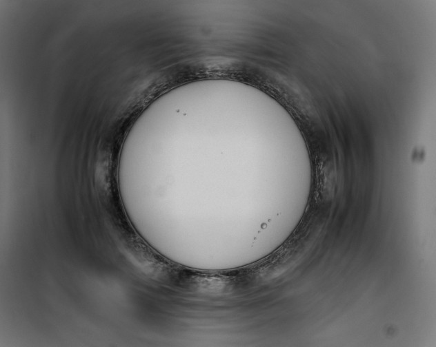 X0000100850698200807070933