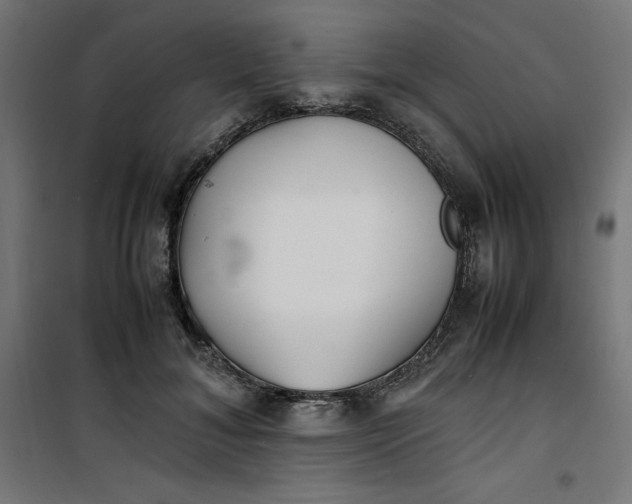 X0000100850700200807070933